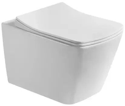 Подвесной безободковый унитаз с сиденьем микролифт Art&Max Techno AM9310CHR/SC