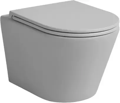 Подвесной безободковый унитаз с сиденьем микролифт Avimano Intuition 1000073