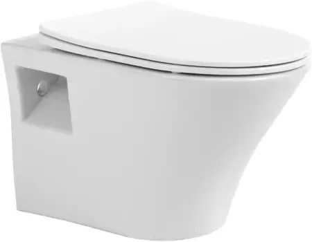 Унитаз подвесной Avimano Promotion 1000080 безободковый, с сиденьем микролифт, белый глянец