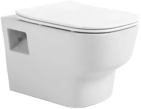 Унитаз подвесной Avimano Tradition 1000090 безободковый, с сиденьем микролифт, белый глянец