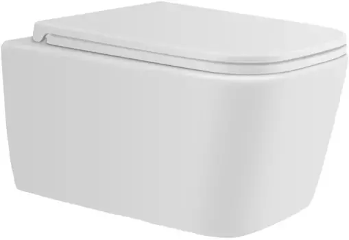 Подвесной безободковый унитаз с сиденьем микролифт Avimano Vision 1000041