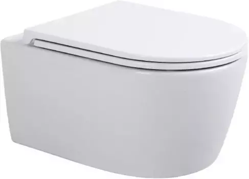 Унитаз подвесной Sintesi Dante SIN-TS-DNT-191 безободковый, с сиденьем микролифт, белый глянец