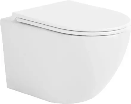 Унитаз подвесной Sintesi Evi SIN-TS-EVI-151WM безободковый, с сиденьем микролифт, белый матовый