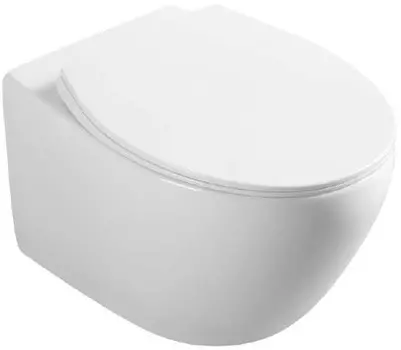 Подвесной безободковый унитаз с сиденьем микролифт Vincea Felice VT1-25