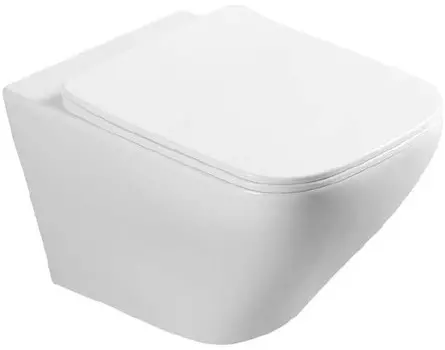 Подвесной безободковый унитаз с сиденьем микролифт Vincea Neo VT1-22