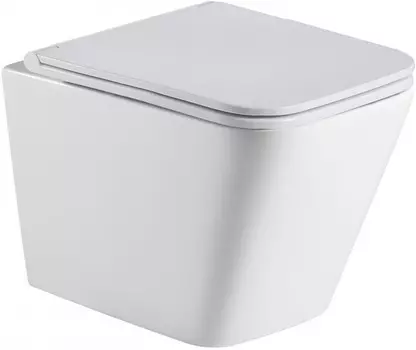Унитаз подвесной WeltWasser Gelbach 004MT-WT безободковый, с сиденьем микролифт, белый матовый