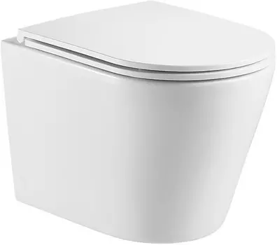 Подвесной безободковый унитаз с сиденьем микролифт WeltWasser Salzbach 041 GL-WT