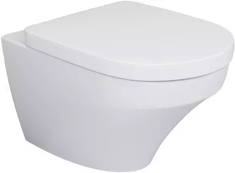 Подвесной унитаз Am.Pm Inspire C501738WH