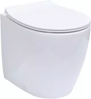 Приставной безободковый унитаз Allen Brau Fantasy 4.11007.20