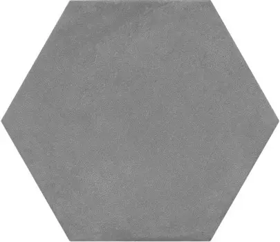 Пуату серый темный 20x23,1 керамический гранит