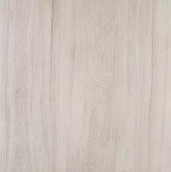 Керамогранит SG450500N Якаранда бежевый 50,2x50,2