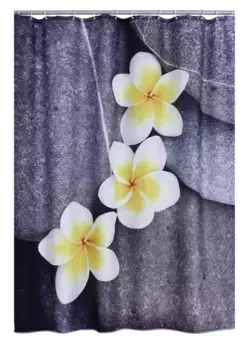 Штора для ванной комнаты Ridder Wellness 42243000