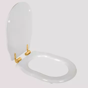 Сиденье для напольного унитаза с микролифтом белый/золото Tiffany World Bristol TWBR72bi/oro
