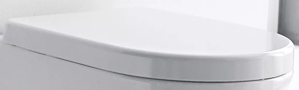 Сиденье для унитаза Kerasan Flo 318901bi