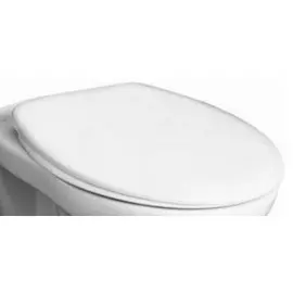 Сиденье для унитаза Roca Mateo ZRU9302815