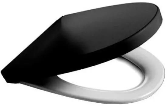 Сиденье для унитаза Roca Victoria Nord ZRU9000101
