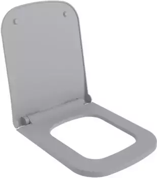 Сиденье для унитаза с микролифтом Ambassador Benefit 202T20301S