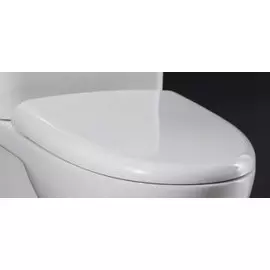 Сиденье для унитаза с микролифтом BelBagno Anto BB112SC