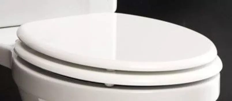 Сиденье для унитаза с микролифтом BelBagno Trevi BB135SCM-CRM