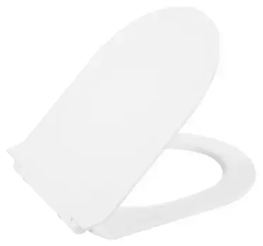 Сиденье для унитаза с микролифтом BelBagno Flay-R BB2111SC