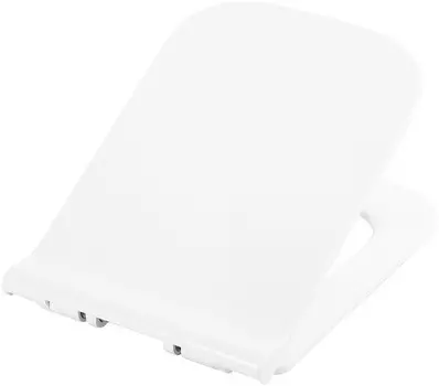 Сиденье для унитаза с микролифтом BelBagno Monica BB805SC