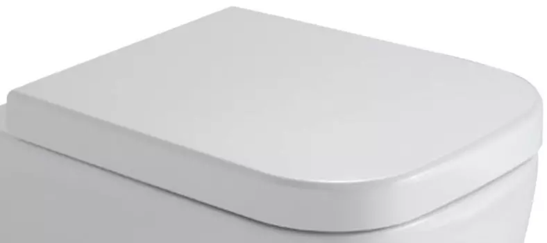 Сиденье для унитаза с микролифтом белый/хром Globo Stone SS026BI/cr