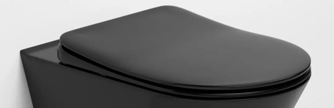 Сиденье для унитаза с микролифтом Boheme Avva 976-B