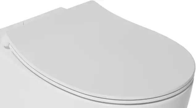 Сиденье для унитаза с микролифтом Isvea Sentimenti Neo 40D80201I-S