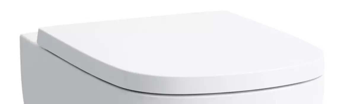Сиденье с крышкой Soft-Close Laufen Palomba 8.9180.2.000.000.1