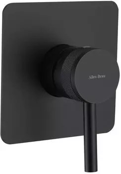 Смеситель для душа Allen Brau Priority 5.31012-31