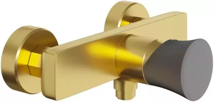 Смеситель для душа Paini Domus 18PJ511PZ