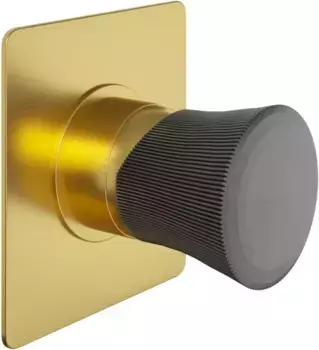 Смеситель для душа Paini Domus 18PJ690PZ