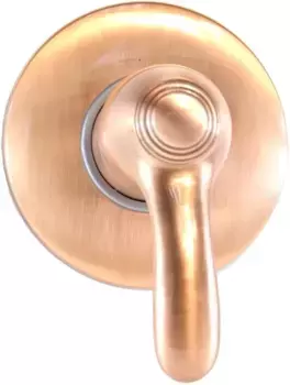 Смеситель для душа Webert Aurora AU880101060