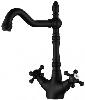 Смеситель для кухни Paulmark Essen Es226001-401