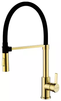 Смеситель для кухни Paulmark Halt HA214021-G