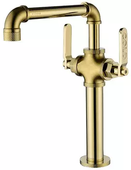 Смеситель для кухни Paulmark Loft LO226006-G