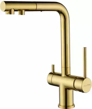 Смеситель для кухни с подключением к фильтру Paulmark Serpentine Se213222-G