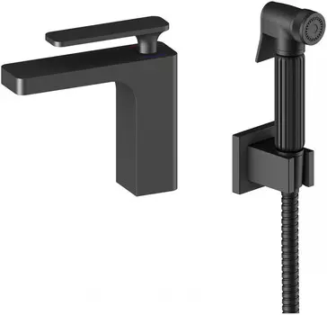 Смеситель для раковины с гигиеническим душем Timo Torne 4360/03G