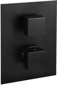 Термостат для ванны Paffoni Elle LEQ518NO/M