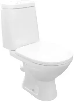 Унитаз-компакт с сиденьем микролифт Rosa Сканди Люкс 4630055554119