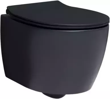 Унитаз подвесной Allen Brau Fantasy 4.11004.31 безободковый, черный матовый
