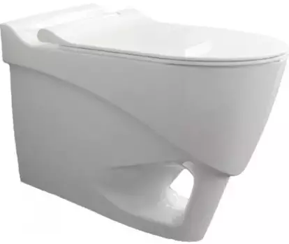 Унитаз подвесной Bien Organic OGKA052N1VP0W3000 безободковый, с сиденьем микролифт, белый