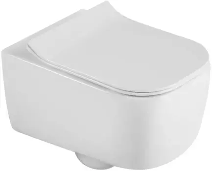 Унитаз подвесной Black & White 730W00 безободковый, с сиденьем микролифт, белый