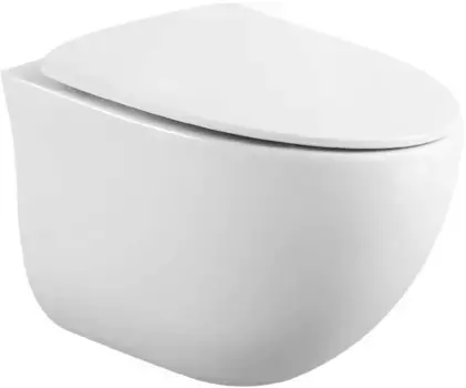 Унитаз подвесной Black & White 751W00 безободковый, с сиденьем микролифт, белый