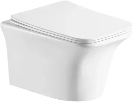 Унитаз подвесной Ceruttispa Nivolet Aria CT7779 безободковый, с сиденьем микролифт, белый