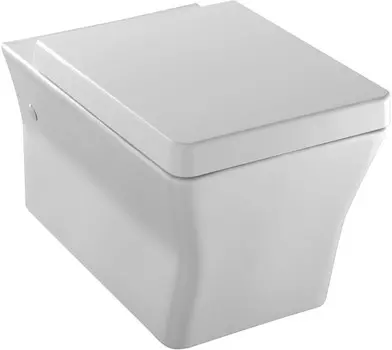 Подвесной унитаз с сиденьем микролифт Jacob Delafon Reve E4811-00