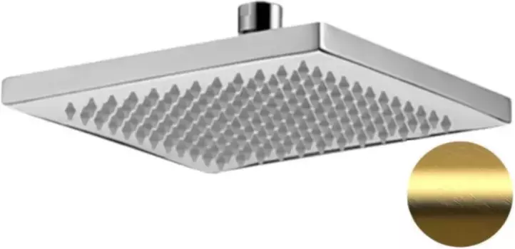 Верхний душ 200 мм Remer 359SSBGX