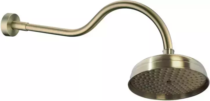 Верхний душ 208 мм Boheme Medici 413