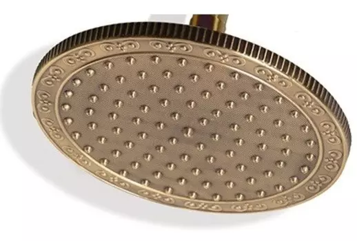 Верхний душ 210 мм Bronze De Luxe 1913