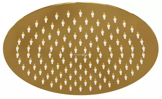 Верхний душ 248 мм WasserKRAFT Sauer A208